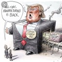 boxedwingcelebritynews avatar