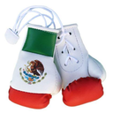 boxinglifestylemx avatar