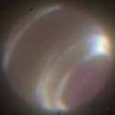 boygirlballoon avatar