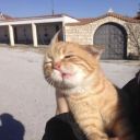 boysandbunnies69 avatar