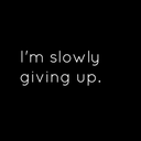 br34king-apart avatar