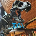 brambleclaw33 avatar