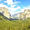 brancadoodles avatar