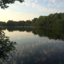 brand-new-ground avatar