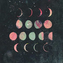 brandepanda501-blog avatar