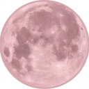 brattiestfairy avatar