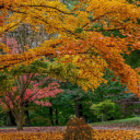 brattyqueerboi avatar