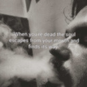 breakdown-of-sanity11 avatar