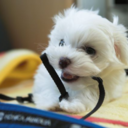 breakdownthewallsphoto avatar