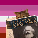 breakingthebees avatar