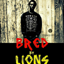 bredbylions avatar