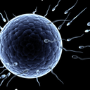 breedseedleave-blog avatar