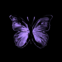 breedseternalmisery avatar