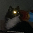 bren-the-chicken avatar