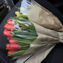 brianharoldbae avatar