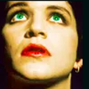 brianmolkoworld avatar