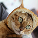 brianna-gamble avatar