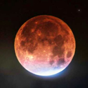 briannax274-blog avatar