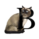 briantheexoticshorthair avatar