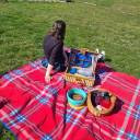 brieflycasualpersona avatar