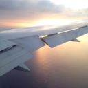 bring-back-obama avatar