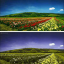 bringhimtherainbow avatar