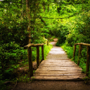 bringingmylifearound avatar