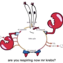 brittlepasta1 avatar