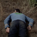 bro-is-that-a-dracula-reference avatar