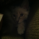 brokebooklover avatar