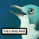 bronzereflection avatar