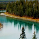 brooklynmoranart avatar