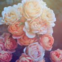 brooklynvdarmody avatar