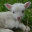 brotherskarussy avatar