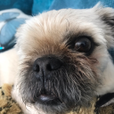 brrrrrrrrrrr18 avatar