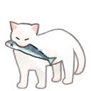 bruh-i-love-cats avatar