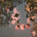 brunette-bunniii avatar