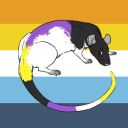 brunosqueerrat avatar