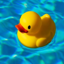 bubbleduckiez avatar