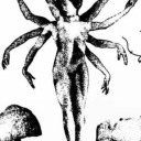 buckets-of-rain avatar