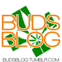 budsblog-blog avatar