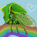 buffalotreehopper avatar