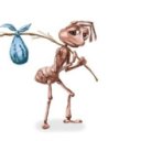 bugs-s avatar