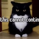 buildingmode2 avatar