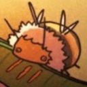 bumblebee-boi avatar