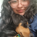 bumblebee-on-a-buttercup avatar