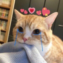 bumblebee14536 avatar