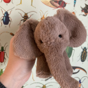 bumbling-kiddo avatar