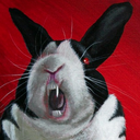 bunniicula avatar