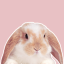 bunnistudies avatar